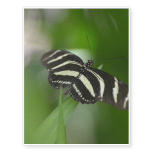 Butterfly Perfection Temporary Tattoos