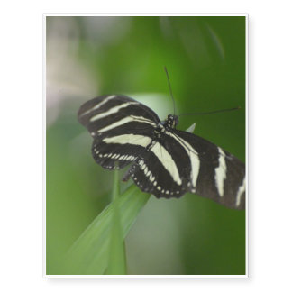 Butterfly Perfection Temporary Tattoos