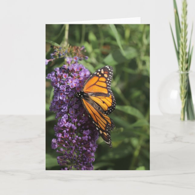 Butterfly photo card (Front)