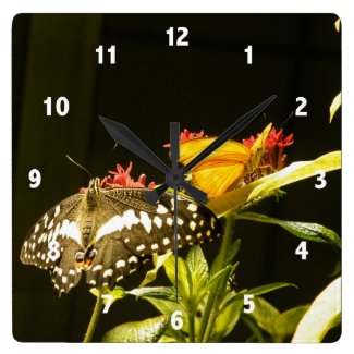 Butterfly Photo Clock