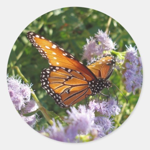 Butterfly Photo Monarch Purple Floral Nature Classic Round Sticker