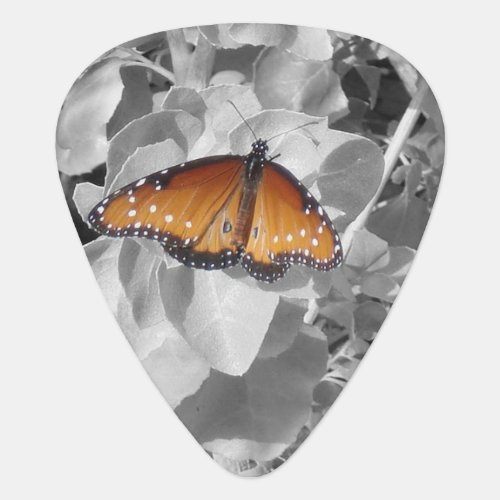 Butterfly Photo Orange Monarch Black White Nature Guitar Pick