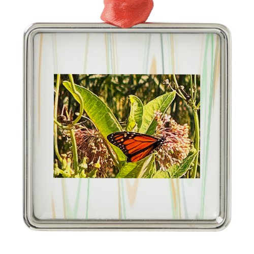 Butterfly Photo Ornament