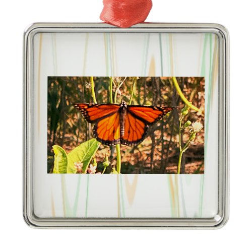 Butterfly Photo Ornament