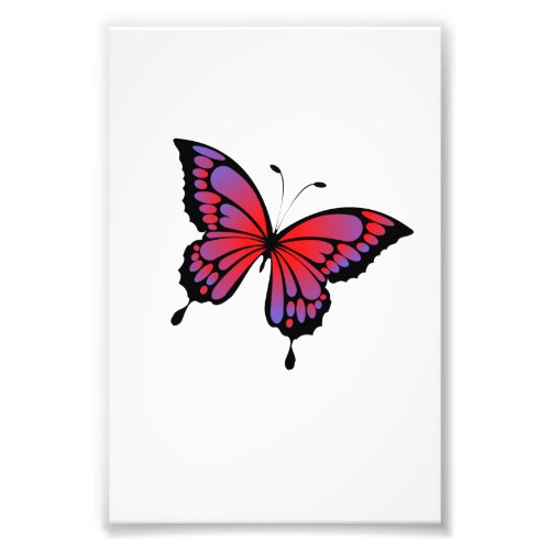 Butterfly Photo Print