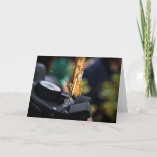 Butterfly Photographer Blank Card