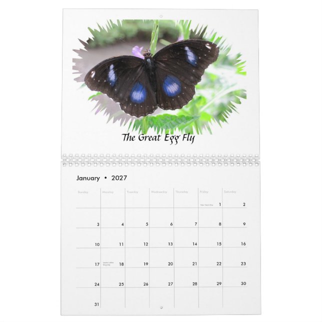 Butterfly Photographs 2012 Calendar (Jan 2027)