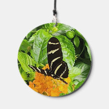 Butterfly photography for your garden wind chime