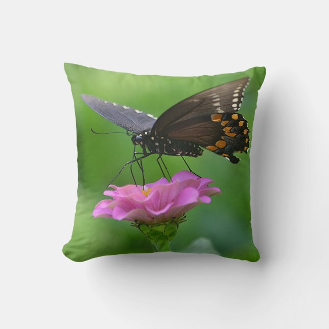 Butterfly Pillow (Front)