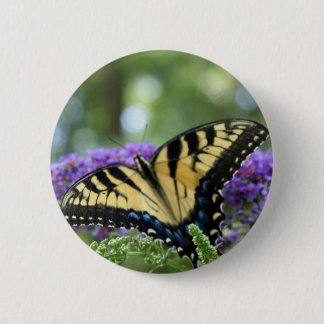 Butterfly Pinback Button