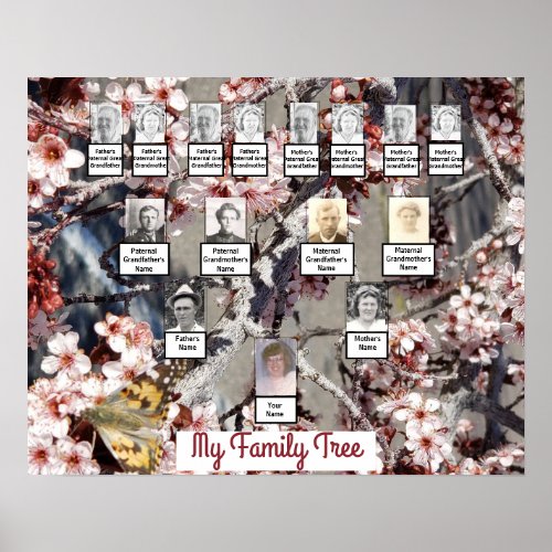 Butterfly Pink Blossoms Photo Family Tree Poster