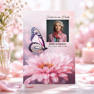 Butterfly Pink Daisy Flower Funeral PROGRAM Photo
