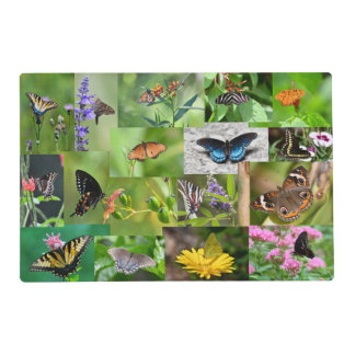 Butterfly Placemat