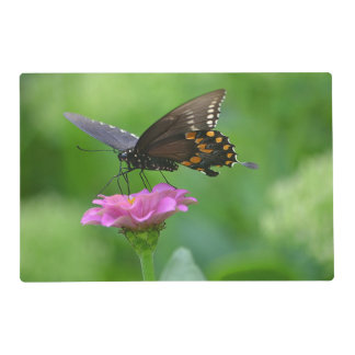 Butterfly Placemats | Zazzle