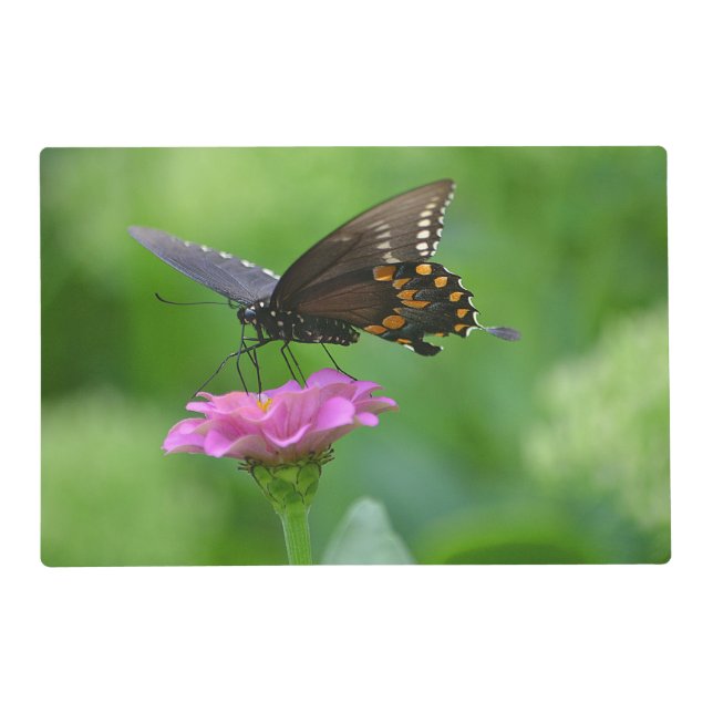Butterfly Placemat (Back)
