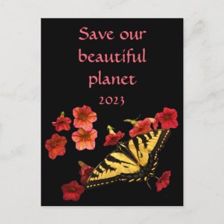 Butterfly Planet 2023 Calendar on Back Postcard