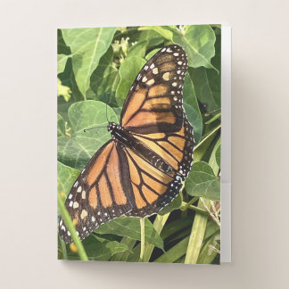 Butterfly Pocket Folder