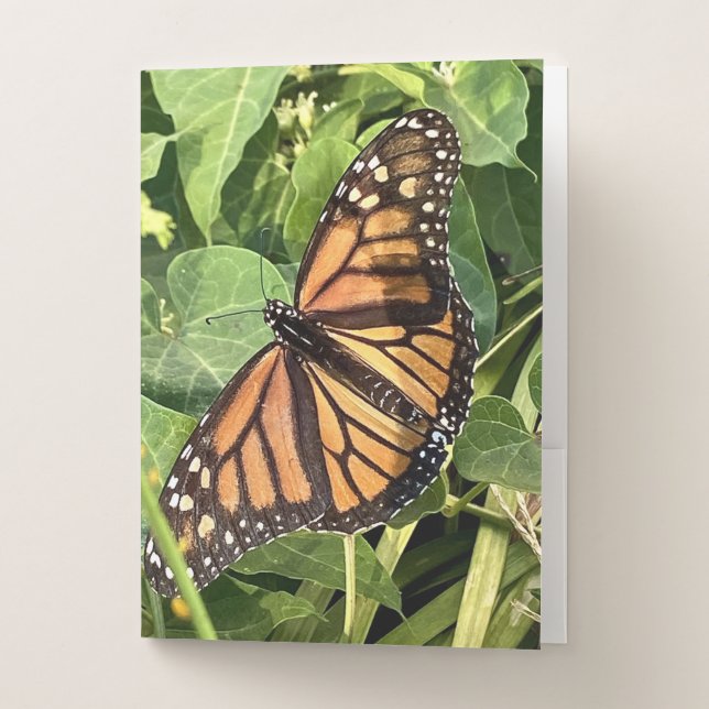 Butterfly Pocket Folder (Front)