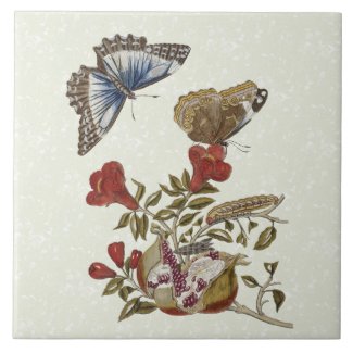 Butterfly Pomegranate Natural History Tile 6x6