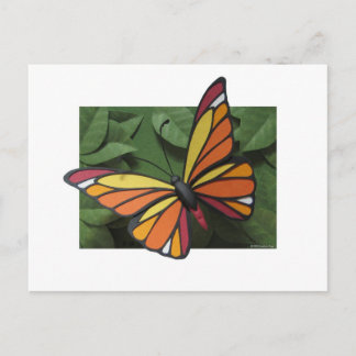 Butterfly Postcard
