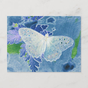 butterfly postcard