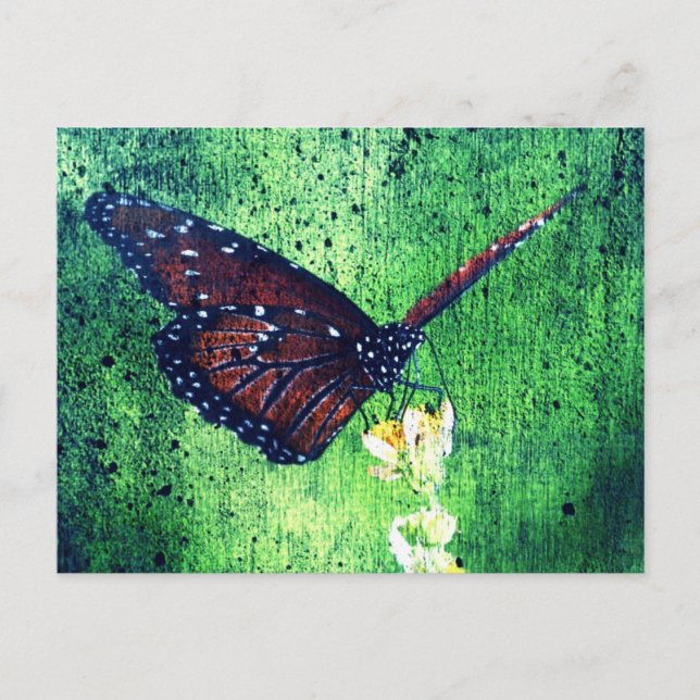 Butterfly Postcard (Front)