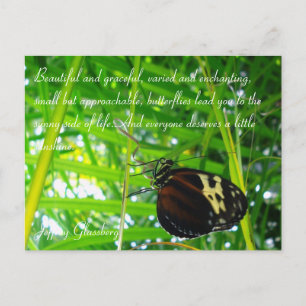 Butterfly Postcard / Quote