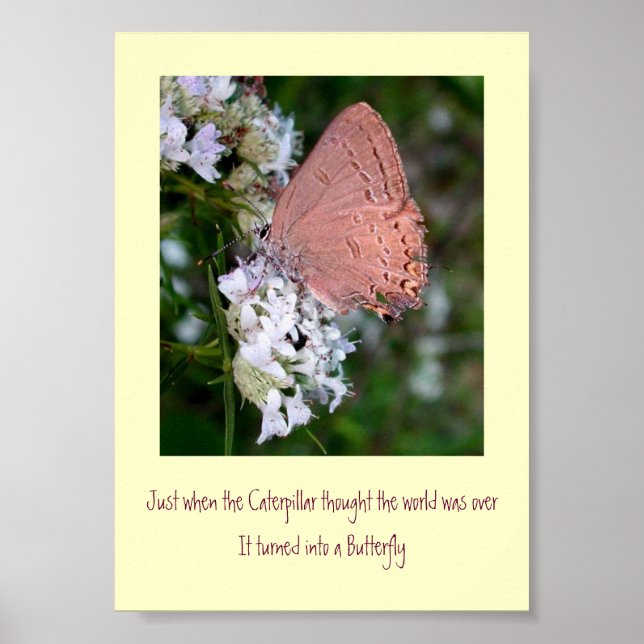 Butterfly Poster (Front)