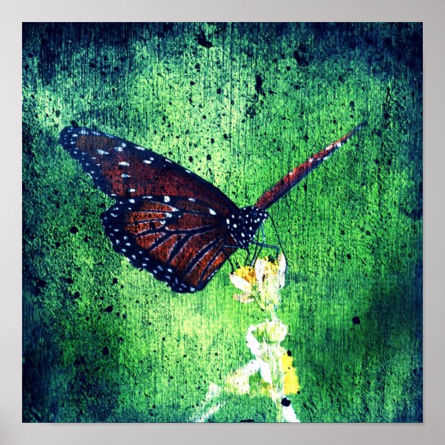 Butterfly Poster (Front)