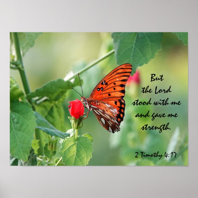  Butterfly Poster w/ Verse about God's Strength (Front)