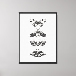 Butterfly print