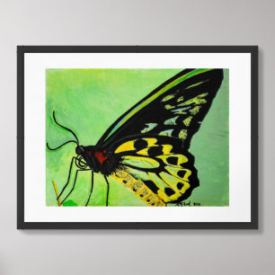 Butterfly Print