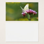 Butterfly profile card (Front & Back)