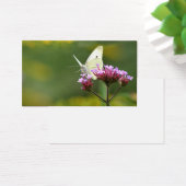 Butterfly profile card (Desk)