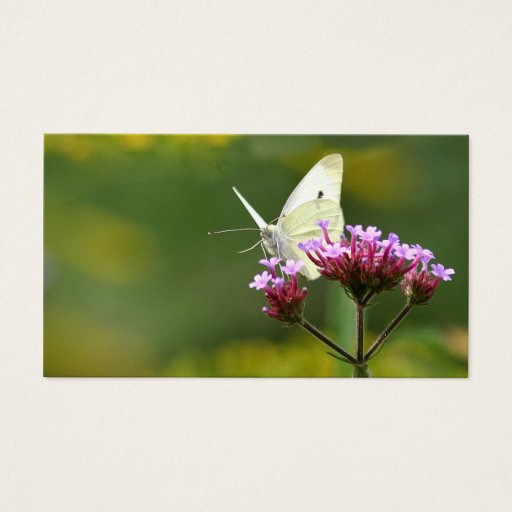Customizable Butterfly profile card business card