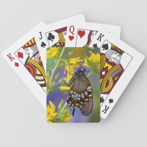 Butterfly profile on yellow flower poker cards