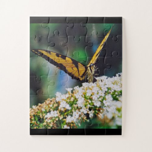 Butterfly Puzzle