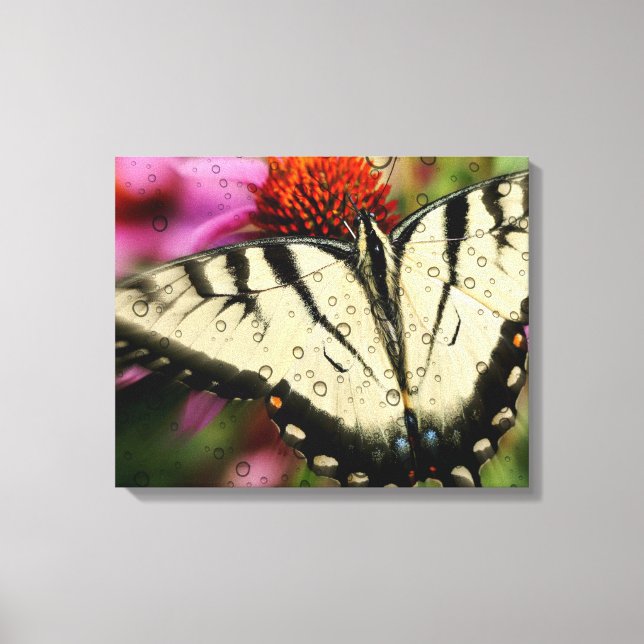 Butterfly Quad Canvas Wrap (Front)