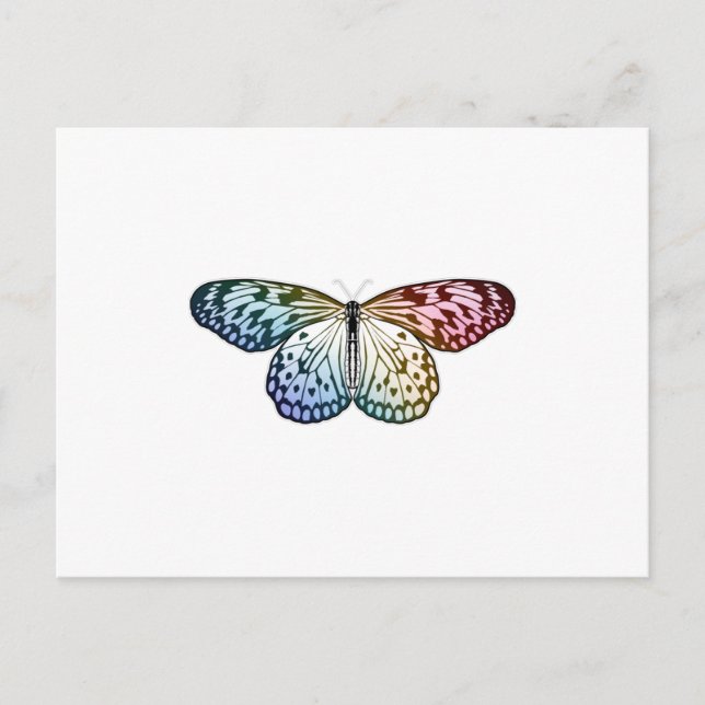 Butterfly Rainbow Postcard (Front)