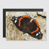 Butterfly - Red Admiral (Front/Back)