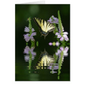 Butterfly Reflections (Front)