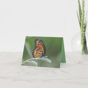 Butterfly Resting On A Leaf Letterpress Thank You Card