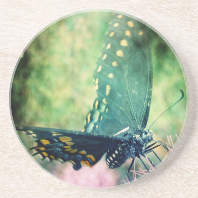 Butterfly Sandstone Coaster (Front)