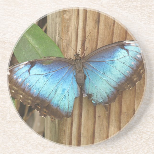 Butterfly Sandstone Coasters (Front)