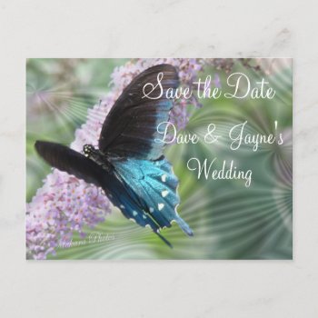 Butterfly Save The Date-customize Announcement Postcard by MakaraPhotos at Zazzle
