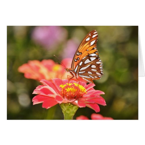 Butterfly Scripture Note Card Psalm 925