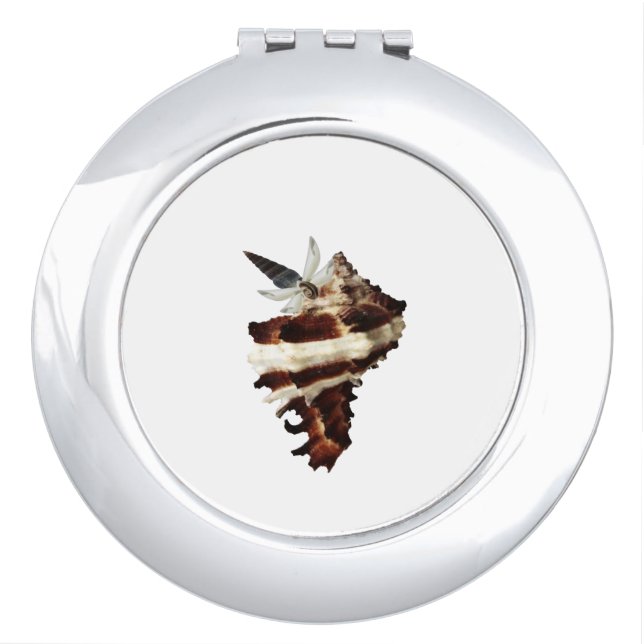 Butterfly seashell art Japandi wabi sabi Compact Mirror (Front)