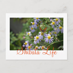 Butterfly Shibatamachi, Miyagi, Japan Postcard