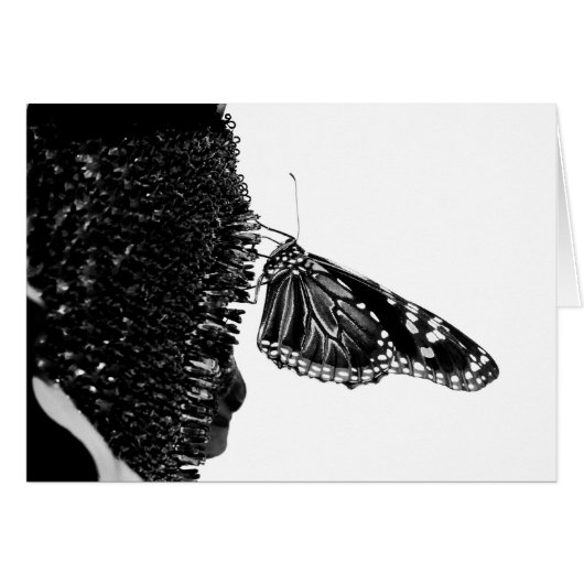 butterfly shy blacq cards (Front Horizontal)