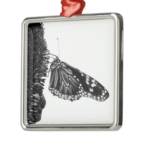 butterfly shy blacq metal ornament